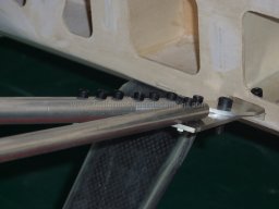 Wing struts (2)